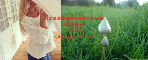 прущая мука Киренск