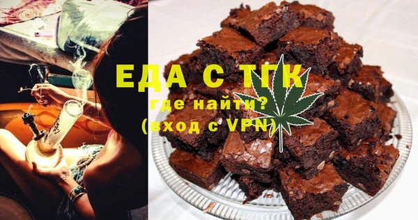 гашик Ельня