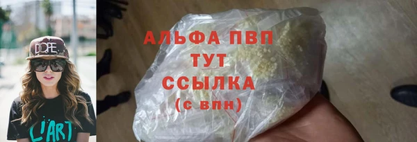 дмт Касимов