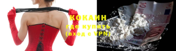 гидра Каменногорск