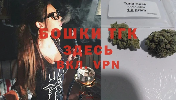 дурь Киреевск