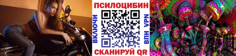 Псилоцибиновые грибы Cubensis  Кедровый 